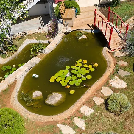 Homestay Lotus Brzac