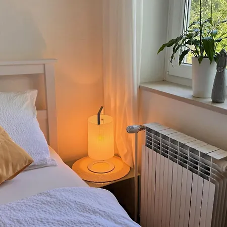 Lotus Ostanak kod kuće Brzac