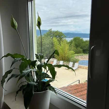 Homestay Lotus