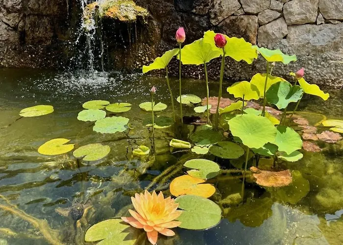 Lotus Rum i privatbostad Brzac